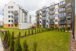 Mieszkanie - dolnośląskie, Wrocław m., Wrocław, Krzyki, Jagodno - 11